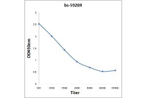 Antigen: 0. (Basc4 (AA 100-211) antibody)