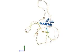 AlphaFold protein structure predicition of Human Recombinant NKX3-2 Protein, UniprotID P78367