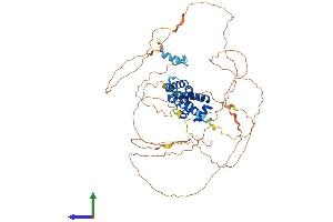 AlphaFold protein structure predicition of Human Recombinant HNF1A Protein, UniprotID P20823 (HNF1A Protein (AA 1-631) (His tag))