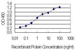 Detection limit for recombinant GST tagged CHCHD4 is 0. (CHCHD4 antibody  (AA 1-142))