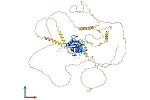 AlphaFold protein structure predicition of Mouse Recombinant Ppig Protein, UniprotID A2AR02