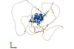 AlphaFold protein structure predicition of Mouse Recombinant Ptpn12 Protein, UniprotID P35831 (PTPN12 Protein (AA 1-775) (His tag))