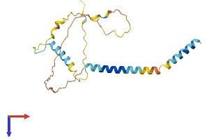 AlphaFold protein structure predicition of Mouse Recombinant Bcl2l11 Protein, UniprotID O54918 (BIM Protein (AA 1-196) (His tag))