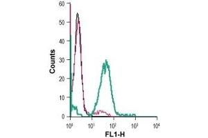 Flow Cytometry (FACS) image for anti-Glutamate Receptor, Metabotropic 5 (GRM5) (AA 367-380), (Extracellular) antibody (ABIN7043250)