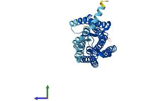 AlphaFold protein structure predicition of Human Recombinant OR1A2 Protein, UniprotID Q9Y585