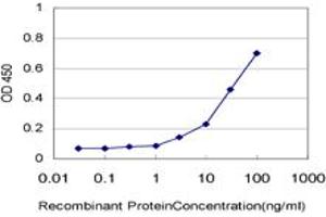 ANKS1A antibody  (AA 1037-1132)