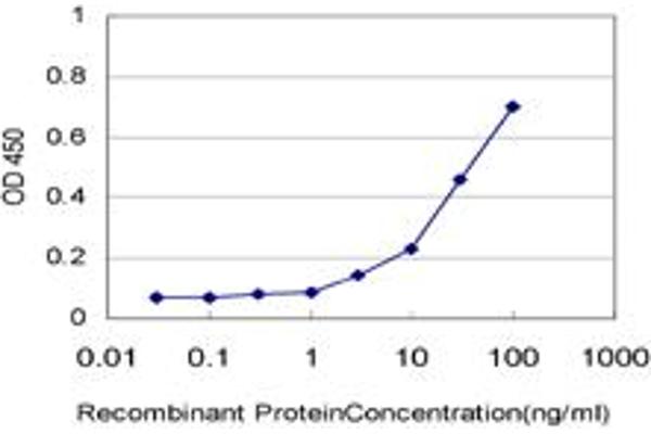 ANKS1A antibody  (AA 1037-1132)