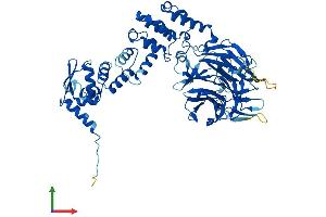 AlphaFold protein structure predicition of Human Recombinant KLHL15 Protein, UniprotID Q96M94