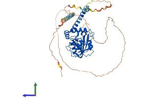 Protein Structure (PS) image for Ribosomal RNA Processing 8 (RRP8) (AA 1-456) protein (His tag) (ABIN7555285)