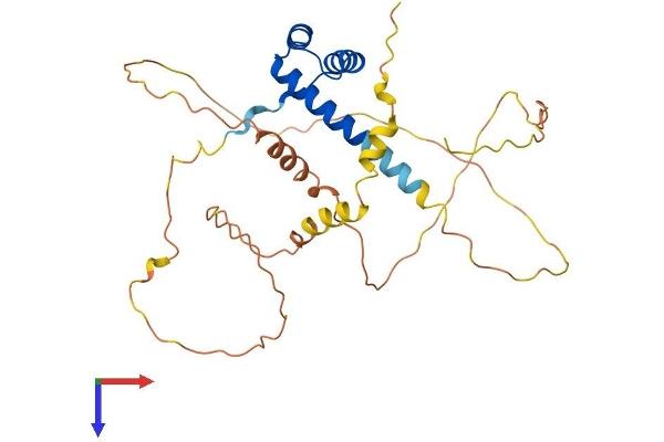 PHOX2B Protein (AA 1-314) (His tag)
