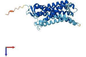 Olfactory Receptor 56A4 (OR56A4) (AA 1-313) protein (His tag)