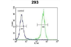 Flow Cytometry (FACS) image for anti-OTU Domain Containing 6B (OTUD6B) antibody (ABIN3002448) (OTUD6B antibody)
