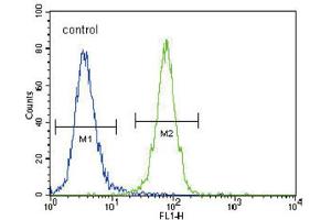 Flow Cytometry (FACS) image for anti-Discoidin Domain Receptor tyrosine Kinase 1 (DDR1) antibody (ABIN3003394) (DDR1 antibody)