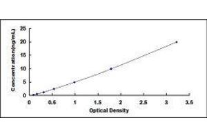 ELISA image for Angiostatin (ANG) ELISA Kit (ABIN424706) (Angiostatin ELISA Kit)