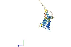 AlphaFold protein structure predicition of Mouse Recombinant Csprs Protein, UniprotID Q99388 (CSPRS Protein (AA 1-208) (His tag))