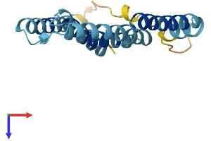 AlphaFold protein structure predicition of Mouse Recombinant Mtnd6 Protein, UniprotID P03925 (MT-ND6 Protein (AA 1-172) (His tag))