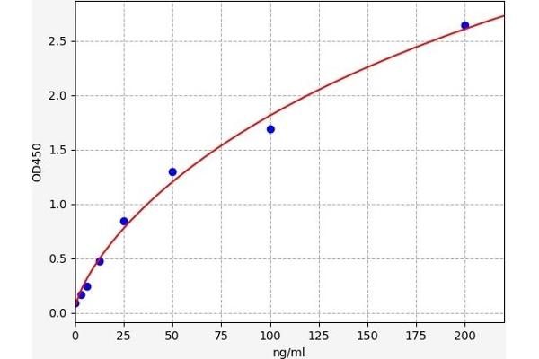 C5 ELISA Kit