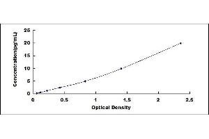 Typical standard curve (IL-6 ELISA Kit)