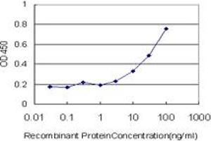 Detection limit for recombinant GST tagged TRIM23 is approximately 3ng/ml as a capture antibody. (TRIM23 antibody  (AA 1-110))