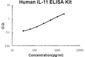 Human IL-11 Accusignal ELISA Kit Human IL-11 AccuSignal ELISA Kit standard curve. (IL-11 ELISA Kit)
