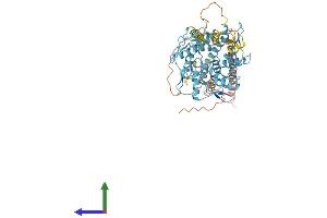 Protein Structure (PS) image for Zinc Finger Protein 257 (ZNF257) (AA 1-563) protein (His tag) (ABIN7545259)