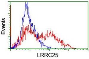 HEK293T cells transfected with either RC209911 overexpress plasmid (Red) or empty vector control plasmid (Blue) were immunostained by anti-LRRC25 antibody (ABIN2455879), and then analyzed by flow cytometry. (LRRC25 antibody)