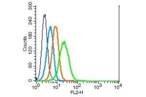 Human U937 cells probed with IL-3R alpha Polyclonal Antibody, Unconjugated  (green) at 1:100 for 30 minutes followed by a PE conjugated secondary antibody compared to unstained cells (blue), secondary only (light blue), and isotype control (orange). (IL3RA antibody  (AA 201-300))