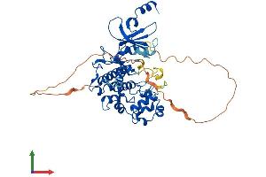 AlphaFold protein structure predicition of Mouse Recombinant Cdk8 Protein, UniprotID Q8R3L8 (CDK8 Protein (AA 1-464) (His tag))