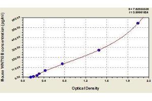 WNT10B ELISA Kit
