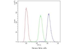 Flow cytometry testing of human HeLa cells with PDE4D antibody at 1ug/10^6 cells (blocked with goat sera) (PDE4D antibody)