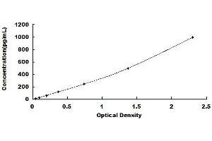 Typical standard curve (IL12A ELISA Kit)