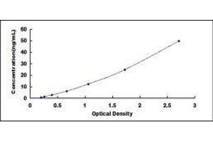 Fibronectin ELISA Kit