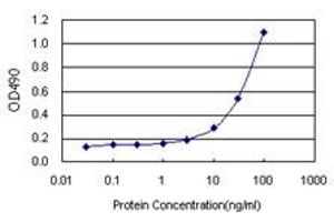 Sandwich ELISA detection sensitivity ranging from 1 ng/mL to 100 ng/mL. (PTPN2 (Human) Matched Antibody Pair)