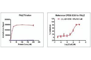 Recombinant BPTF / FALZ (2791-2911) activity using AlphaScreen. (BPTF Protein (AA 2791-2911) (His tag,DYKDDDDK Tag))