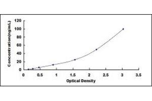 Typical standard curve (C1QB ELISA Kit)