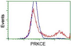 HEK293T cells transfected with either RC217702 overexpress plasmid (Red) or empty vector control plasmid (Blue) were immunostained by anti-PRKCE antibody (ABIN2454194), and then analyzed by flow cytometry. (PKC epsilon antibody)