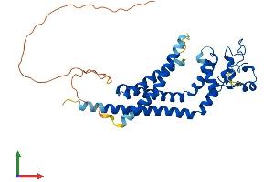 AlphaFold protein structure predicition of Mouse Recombinant Tspan10 Protein, UniprotID Q8VCF5 (TSPAN10 Protein (AA 1-331) (His tag))