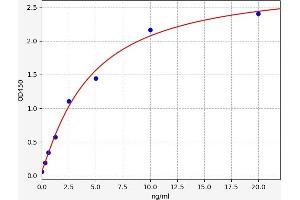 Typical standard curve (Integrin beta 2 ELISA Kit)