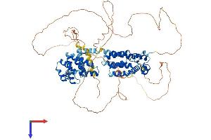 Sterile alpha Motif Domain Containing 4B (SAMD4B) (AA 1-687) protein (His tag)