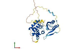 AlphaFold protein structure predicition of Human Recombinant ARMC1 Protein, UniprotID Q9NVT9
