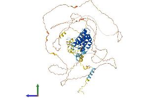 AlphaFold protein structure predicition of Mouse Recombinant Iws1 Protein, UniprotID Q8C1D8