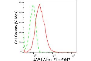 Flow cytometric analysis of UAP1 expression in HepG2 cells using UAP1 antibody (ABIN7800767), 1:2,000).