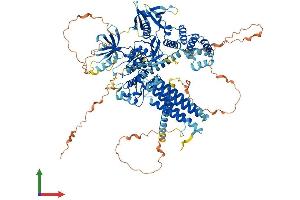 AlphaFold protein structure predicition of Mouse Recombinant Ptk2b Protein, UniprotID Q9QVP9