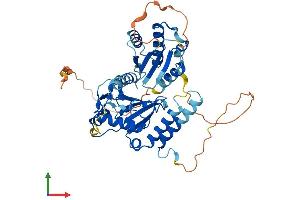 AlphaFold protein structure predicition of Human Recombinant UBE2Q1 Protein, UniprotID Q7Z7E8 (UBE2Q1 Protein (AA 1-422) (His tag))