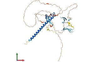 AlphaFold protein structure predicition of Mouse Recombinant Sav1 Protein, UniprotID Q8VEB2