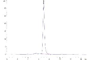 The purity of Human IL-18RAP is greater than 95 % as determined by SEC-HPLC. (IL18RAP Protein (AA 20-356) (Fc Tag))