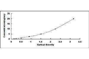 Typical standard curve (HSD17B3 ELISA Kit)