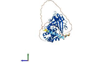 Protein Structure (PS) image for Protein tyrosine Phosphatase, Non-Receptor Type 1 (PTPN1) (AA 1-432) protein (His tag) (ABIN7563190)
