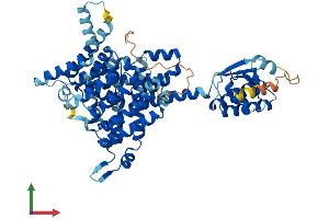 AlphaFold protein structure predicition of Human Recombinant SLC26A11 Protein, UniprotID Q86WA9