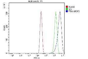 anti-Flap Structure-Specific Endonuclease 1 (FEN1) (AA 4-300) antibody